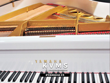  Grand Piano Yamaha C3 