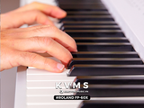  Piano digital Roland FP60X | Piano di động | Bluetooth 