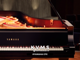  Grand Piano Yamaha CFX ( 2022 ) 