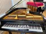  Grand Piano Yamaha G2 PE 