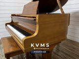  Grand Piano Yamaha G2E Walnut 