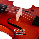  Đàn Violin KAPOK MV182 size 3/4 | Violin dành cho người mới 