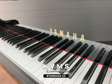  Grand Piano Yamaha G3 