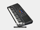  Organ Yamaha PSR SX900 