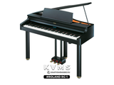  Piano Digital Roland RG 1 | Piano điện Japan cao cấp 