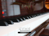  Grand Piano Yamaha C3 