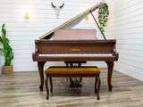  Grand Piano Yamaha G2 SW phong cách Châu Âu | Dòng Baby Grand chân cong cổ điển 