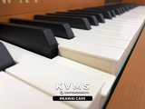  Piano Digital KAWAI CA95 