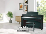  Piano Digital KAWAI CA4900GP 