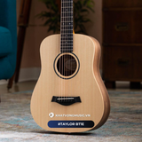  Guitar Baby Taylor BT1E | Đàn Guitar Acoustic chính hãng giá tốt 