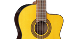  Guitar Takamine GC5-CE 