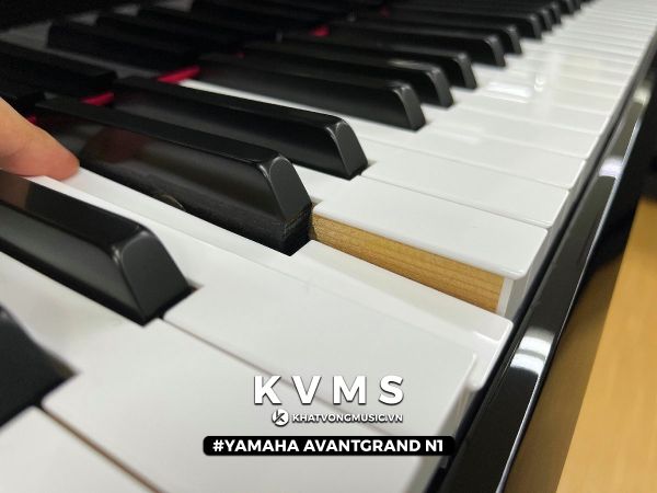 Yamaha AvantGrand N1