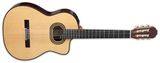  Guitar Takamine TH90 