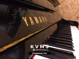  Piano Upright YAMAHA YU1 