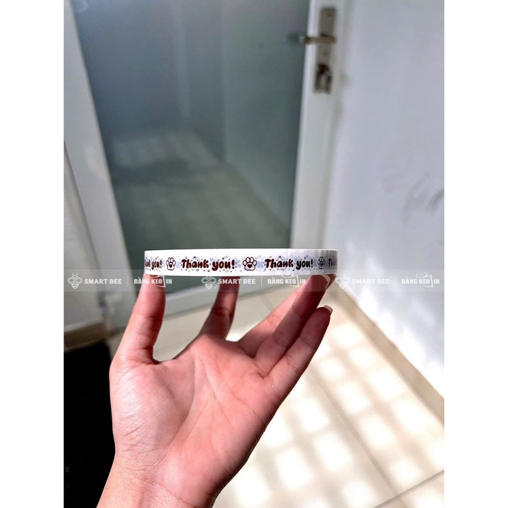 BĂNG KEO IN SẴN MẪU THANK YOU MÈO 12MM | 6 MÀU