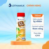  Trà sữa thanh trùng Lothamilk chai 250ml 