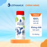  Sữa Tươi Thanh Trùng Lothamilk Có đường chai 250ml 