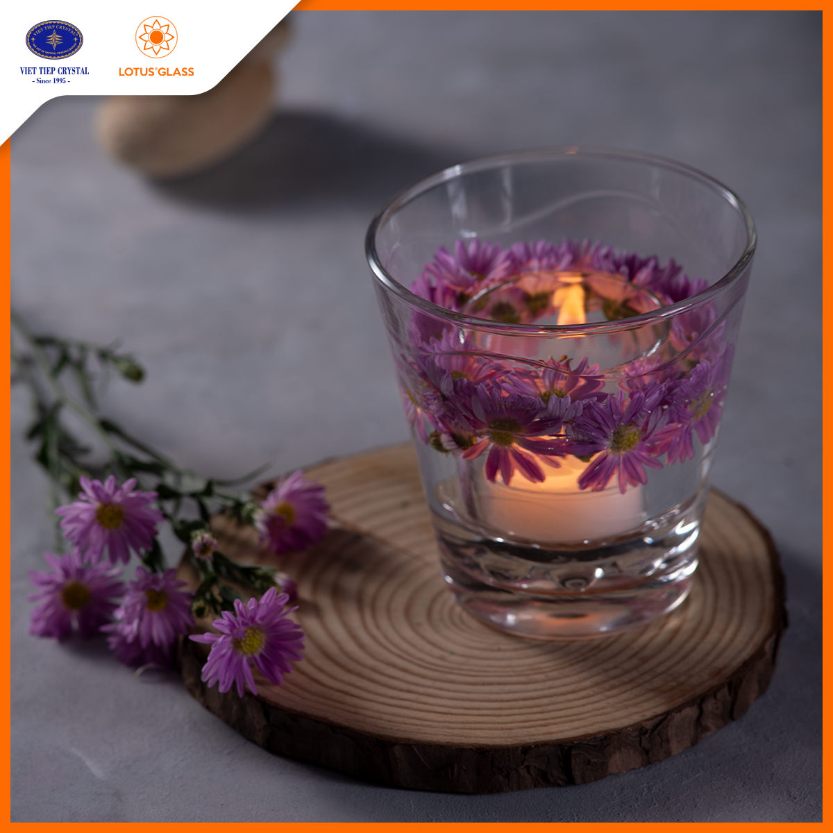 Bộ 6 cốc uống nước thủy tinh Lotus Glass VTC805
