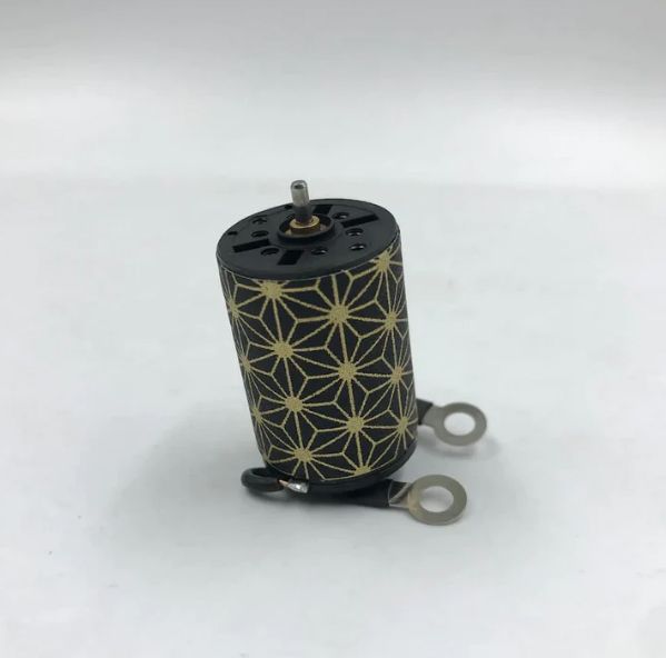 ERU Maxon Motor