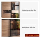  Tủ quần áo cửa trượt cánh kính DTA02 