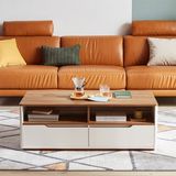  Bàn sofa hiện đại bằng gỗ cho phòng khách DSF06 