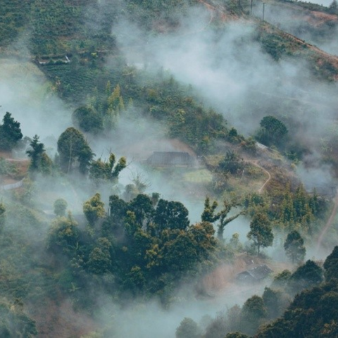 TOUR SĂN MÂY TÀ XÙA - BẮC YÊN 2 NGÀY 1 ĐÊM