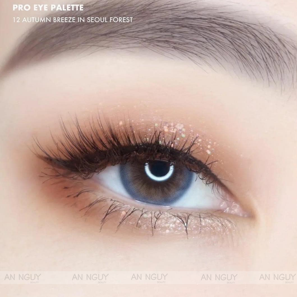 Phấn Mắt 10 Ô Clio Pro Eye Palette (Phiên Bản Vỏ Trong) 0.6gr x 10