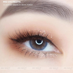 Phấn Mắt 10 Ô Clio Pro Eye Palette (Phiên Bản Vỏ Trong) 0.6gr x 10