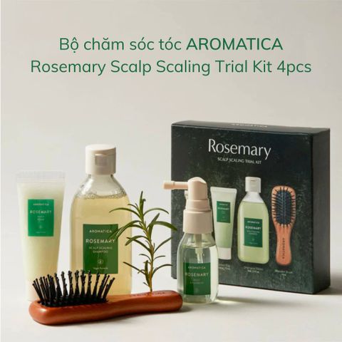 Set 4 Món Chăm Sóc Tóc Aromatica Rosemary Scalp Scaling Trial Kit Tiện Lợi