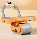 Con Lăn Tập Bụng Đa Năng Merach MR-2341