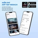 Máy Chạy Bộ Merach T03