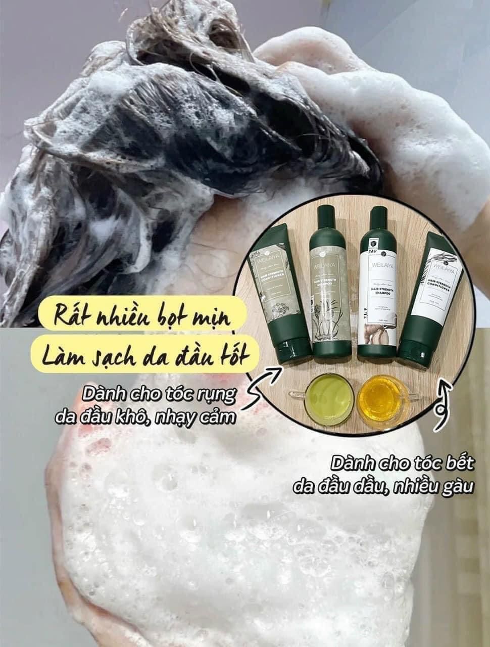 Bộ dầu gội xả chiết xuất gừng tươi Weilaya