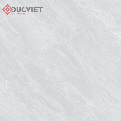 Gạch Viglacera 60x60 B6011