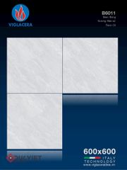 Gạch Viglacera 60x60 B6011