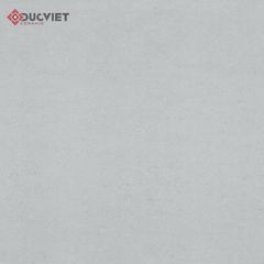 Gạch Viglacera60x60 BS6601