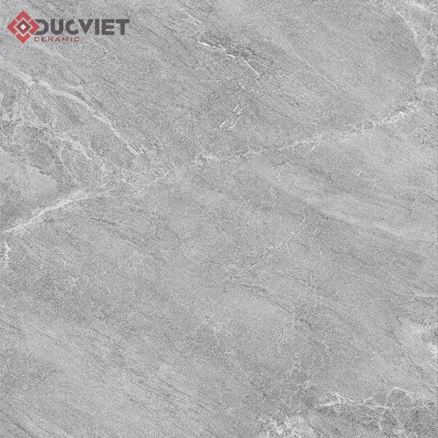 Gạch Viglacera 20mm 60x60 CL20-6603