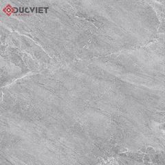 Gạch Viglacera 20mm 60x60 CL20-6603