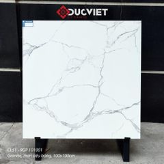 Gạch Viglacera 100x100 CL51-9GP101001