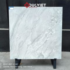 Gạch Viglacera 100x100 CL53-9GP101001