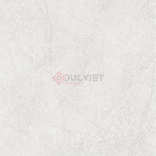 Gạch Viglacera 100x100 CL52-9GP101001