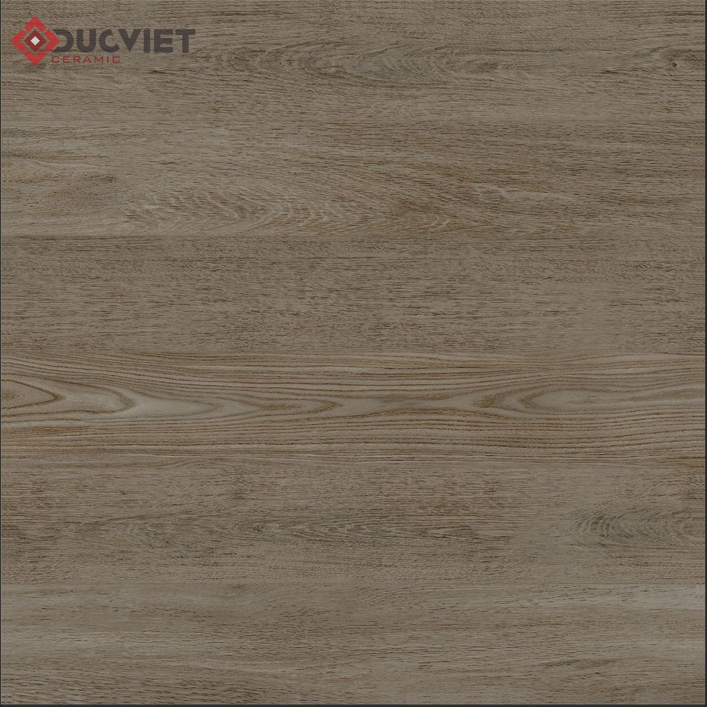 Gạch Viglacera 60x60 G6001