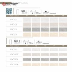 Gạch Eurotile NGC I03 45x90