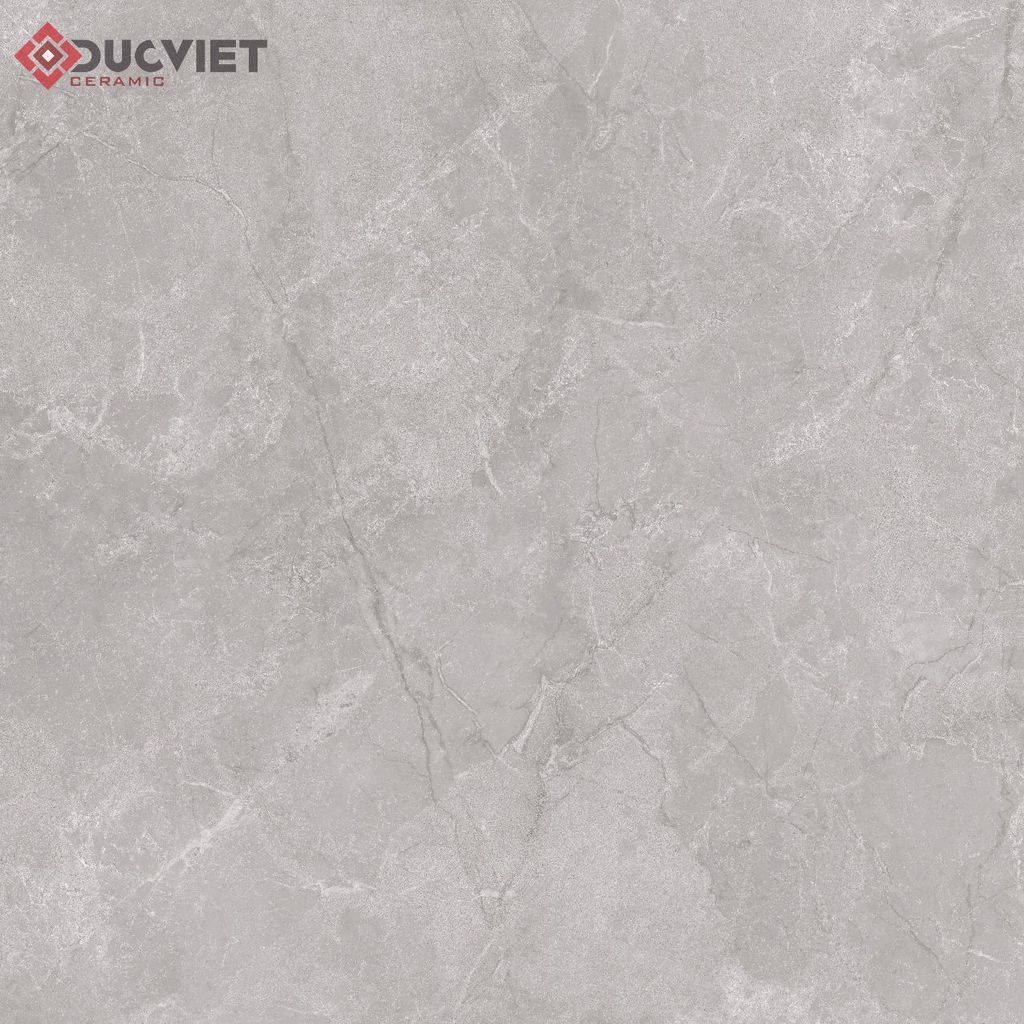 Gạch Eurotile NHC S03H 120x120