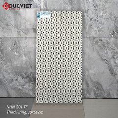 Gạch Eurotile NHN G01 TF 30x60