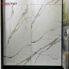 Gạch Eurotile SIG-P61206 60x120