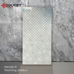 Gạch Eurotile PHQ G02 TF 30x60