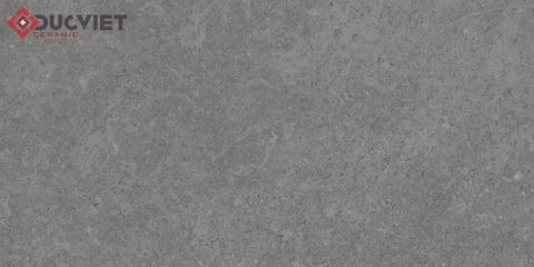 Gạch Eurotile 20mm PT20-G3603 30x60