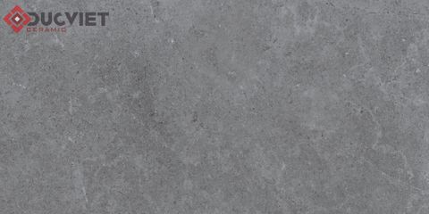 Gạch Eurotile 20mm PT20-G3605 30x60