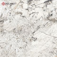 Gạch Eurotile SIG-NHV E01 80x80