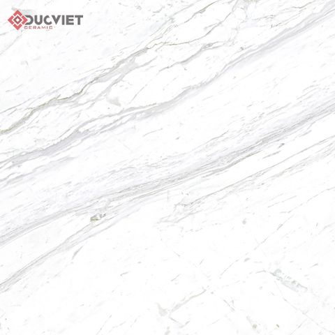 Gạch Eurotile SIG-P8801 80x80